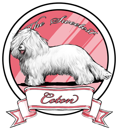 The Sweetest Coton logo