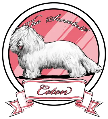The Sweetest Coton logo
