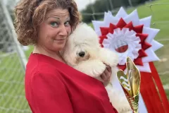 The-Sweetest-Coton-Coton-de-Tulear-at-show-in-Rybnik-1