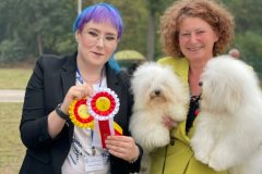 The-Sweetest-Coton-Coton-de-Tulear-at-show-in-Nadarzyn-1