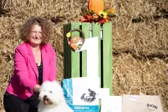 The-Sweetest-Coton-Coton-de-Tulear-at-show-in-Zgierz-1