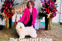 The-Sweetest-Coton-Coton-de-Tulear-at-show-in-Uniejow-4 The-Sweetest-Coton-Coton-de-Tulear-at-show-in-Uniejow-4