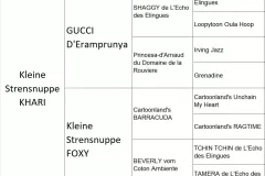 Khari-The-Sweetest-Coton-pedigree