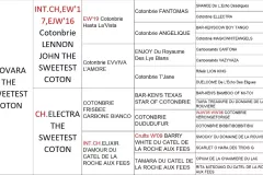 Novara-The-Sweetest-Coton-Pedigree Novara-The-Sweetest-Coton-Pedigree