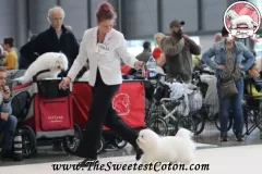 RITA-The-Sweetest-Coton-10