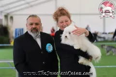 RITA-The-Sweetest-Coton-12