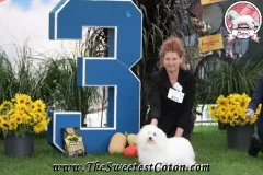 RITA-The-Sweetest-Coton-13