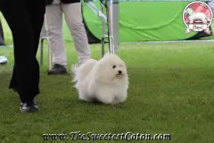 RITA-The-Sweetest-Coton-14