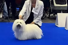 RITA-The-Sweetest-Coton-20