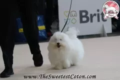 RITA-The-Sweetest-Coton-3