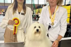 RITA-The-Sweetest-Coton-4