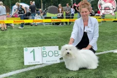 RITA-The-Sweetest-Coton-5