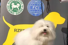 RITA-The-Sweetest-Coton-6