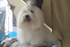 RITA-The-Sweetest-Coton-7