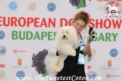RONNIE-The-Sweetest-Coton-G1