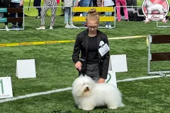 RONNIE-The-Sweetest-Coton-G2