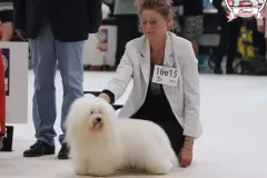 RONNIE-The-Sweetest-Coton-G4