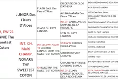 RONNIE-The-Sweetest-Coton-Pedegree