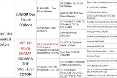 ROXIE-The-Sweetest-Coton-pedegree