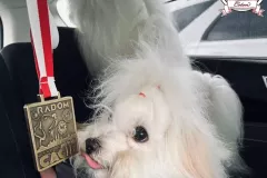 Ussuri-The-Sweetest-Coton-1