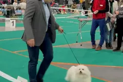 Ussuri-The-Sweetest-Coton-2