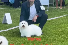 Verva-The-Sweetest-Coton-2