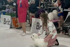 Verva-The-Sweetest-Coton-3