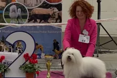 VOODOO-The-Sweetest-Coton-1