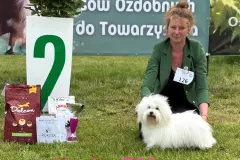 VOODOO-The-Sweetest-Coton-2