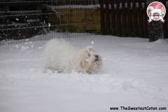 winter-or-summer-11