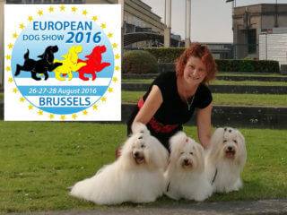 Coton de Tulear Euro Dog Show 2016