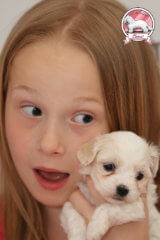 Sandra and Coton de Tulear puppies