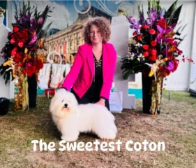 The Sweetest Coton - Coton de Tulear at show in Uniejow