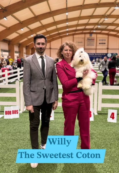 WILLY The Sweetest Coton