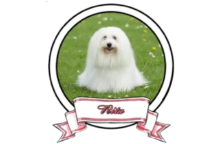 RITA-The-Sweetest-Coton