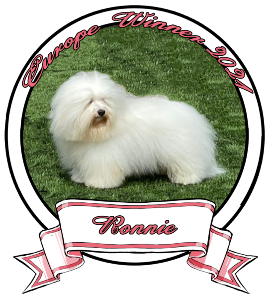 RONNIE-The-Sweetest-Coton