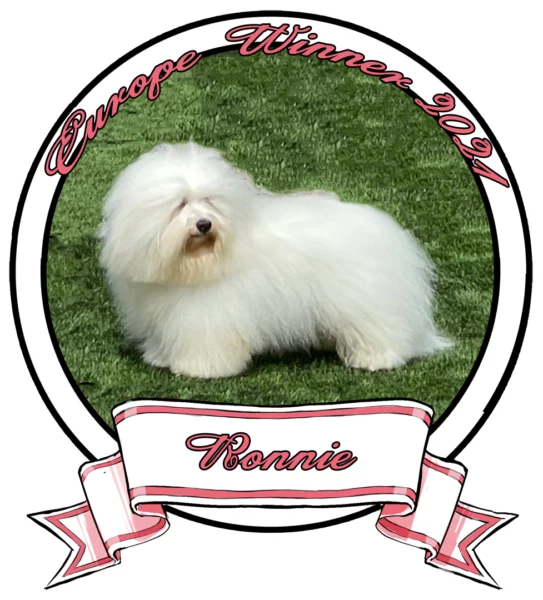 RONNIE The Sweetest Coton