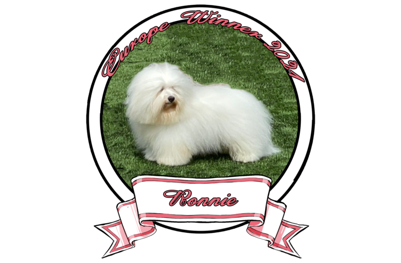 RONNIE-The-Sweetest-Coton