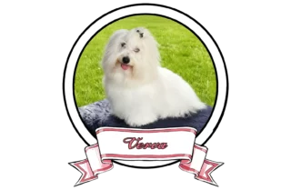 Verva-The-Sweetest-Coton