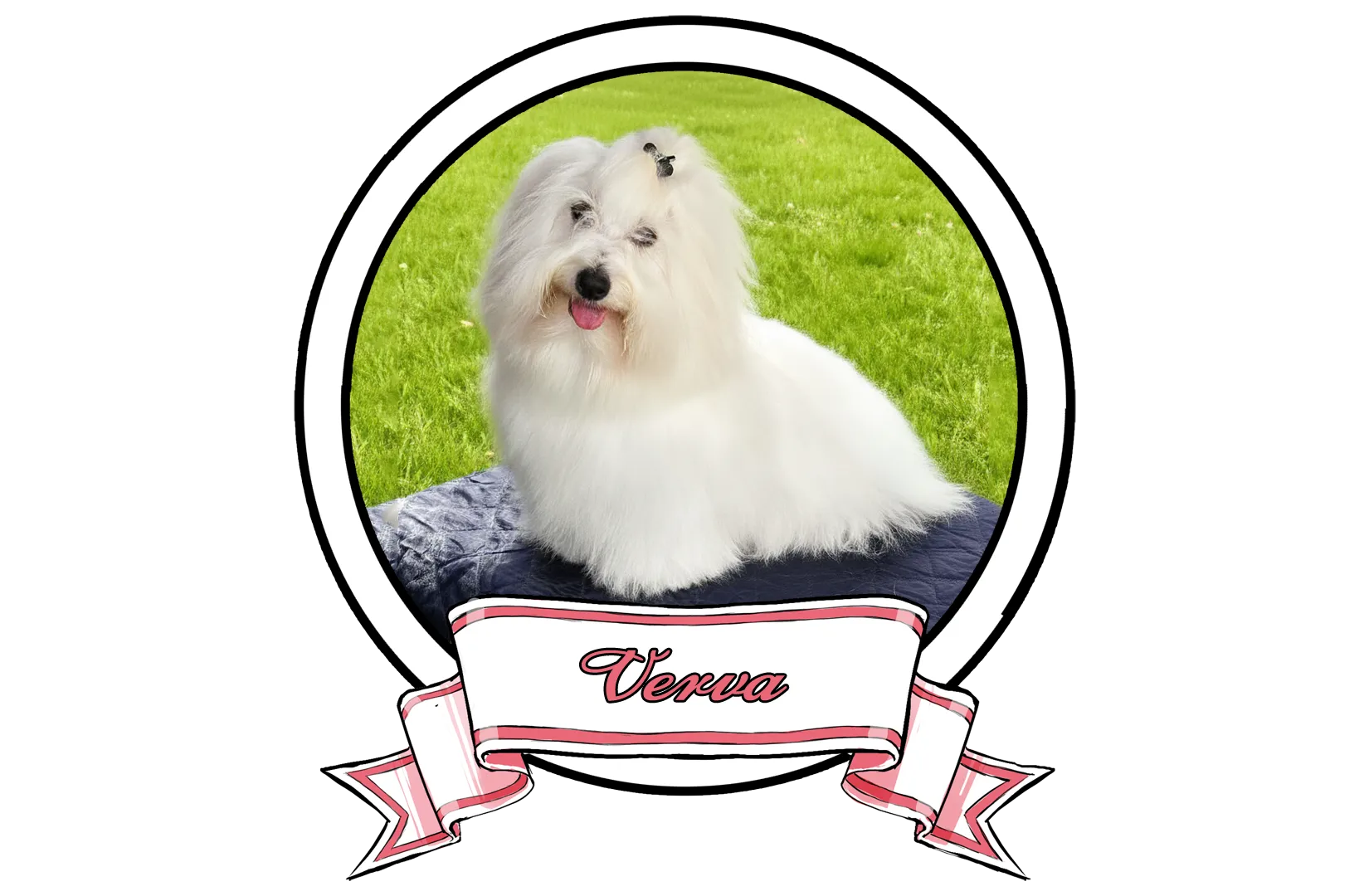 Verva-The-Sweetest-Coton